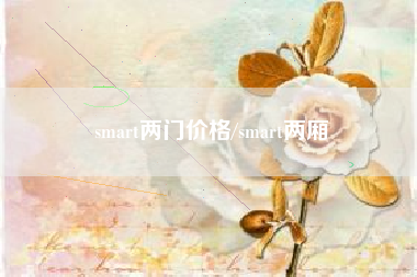 smart两门价格/smart两厢 smart两门价格/smart两厢