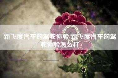 新飞度汽车的驾驶体验/新飞度汽车的驾驶体验怎么样 新飞度汽车的驾驶体验/新飞度汽车的驾驶体验怎么样