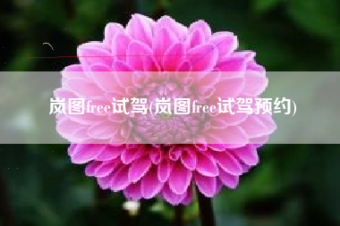 岚图free试驾(岚图free试驾预约)