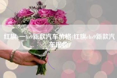 红旗e一hs9新款汽车价格(红旗ehs9新款汽车报价)