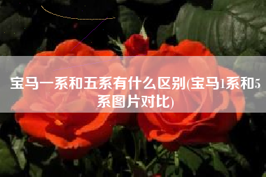 宝马一系和五系有什么区别(宝马1系和5系图片对比) 宝马一系和五系有什么区别(宝马1系和5系图片对比)