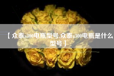 【众泰z300电瓶型号,众泰z300电瓶是什么型号】