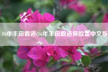 16年丰田霸道(16年丰田霸道保险盒中文版)