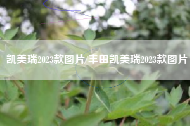 凯美瑞2023款图片/丰田凯美瑞2023款图片 凯美瑞2023款图片/丰田凯美瑞2023款图片