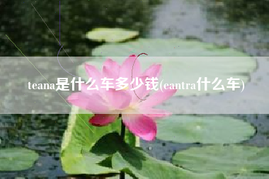 teana是什么车多少钱(eantra什么车) teana是什么车多少钱(eantra什么车)