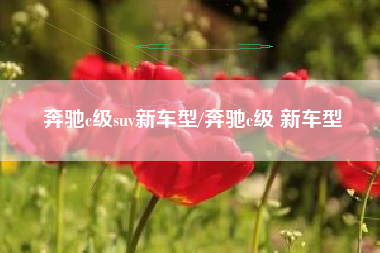 奔驰c级suv新车型/奔驰c级 新车型