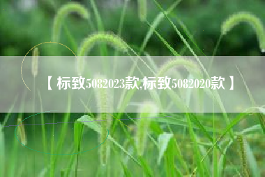 【标致5082023款,标致5082020款】 【标致5082023款,标致5082020款】