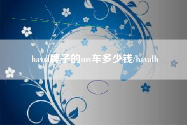 haval牌子的suv车多少钱/havalh