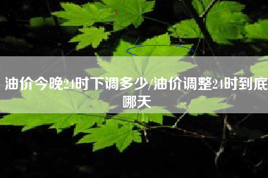 油价今晚24时下调多少/油价调整24时到底哪天