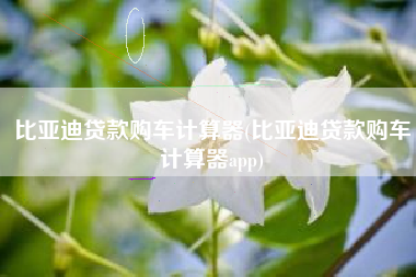 比亚迪贷款购车计算器(比亚迪贷款购车计算器app)