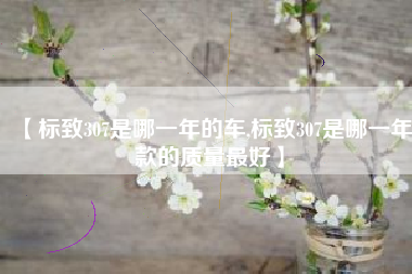【标致307是哪一年的车,标致307是哪一年款的质量最好】