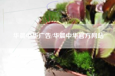 华晨中华广告/华晨中华官方网站