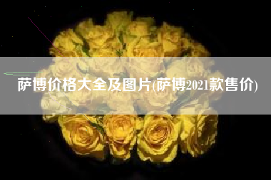 萨博价格大全及图片(萨博2021款售价) 萨博价格大全及图片(萨博2021款售价)