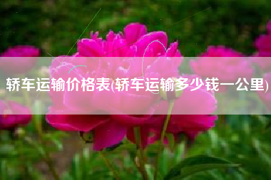 轿车运输价格表(轿车运输多少钱一公里) 轿车运输价格表(轿车运输多少钱一公里)