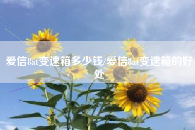 爱信8at变速箱多少钱/爱信8at变速箱的好处