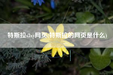 特斯拉s3xy网页(特斯拉的网页是什么) 特斯拉s3xy网页(特斯拉的网页是什么)