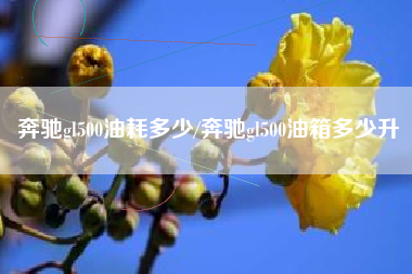 奔驰gl500油耗多少/奔驰gl500油箱多少升