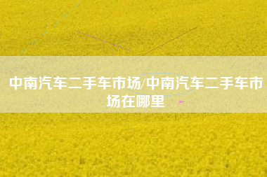 中南汽车二手车市场/中南汽车二手车市场在哪里