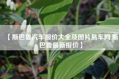 【斯巴鲁汽车报价大全及图片易车网,斯巴鲁最新报价】 【斯巴鲁汽车报价大全及图片易车网,斯巴鲁最新报价】