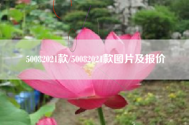 50082021款/50082021款图片及报价