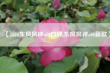 【2016东风风神a60口碑,东风风神a60新款】